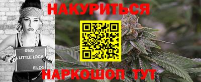гашик Новодвинск