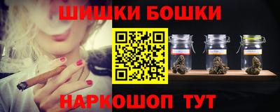 гашик Новодвинск