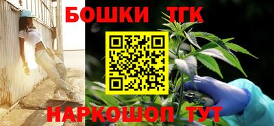 гашик Новодвинск