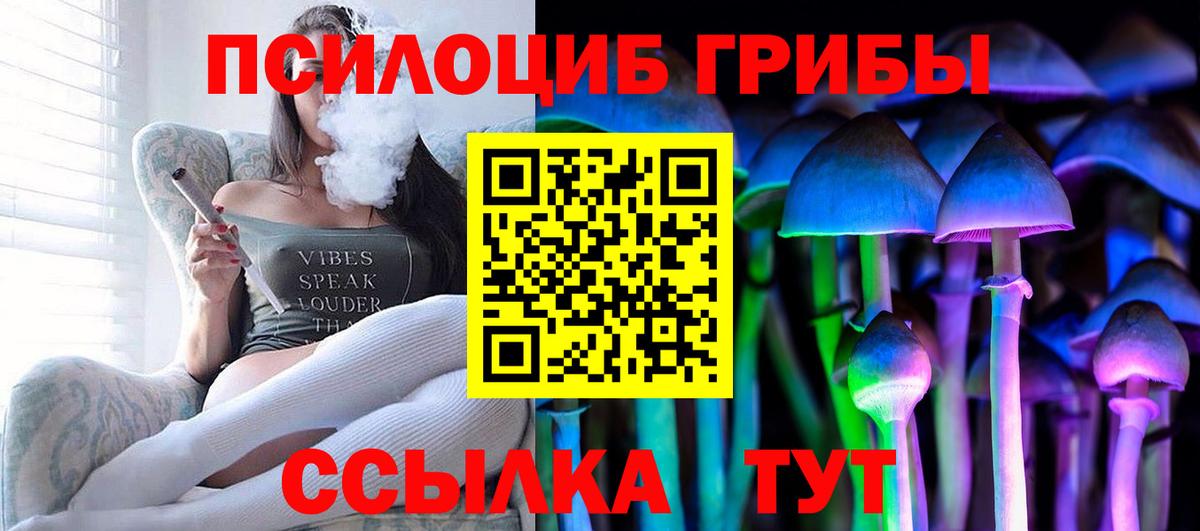 Псилоцибиновые грибы Cubensis  Вход с VPN  Троицк 